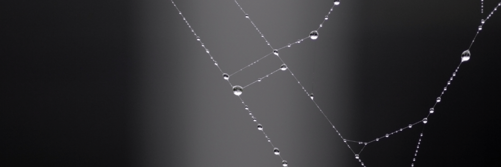 Backlink di qualità