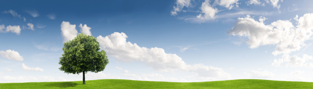 Ottimizzazione immagini SEO