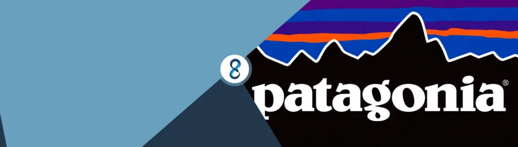 The Patagonia case